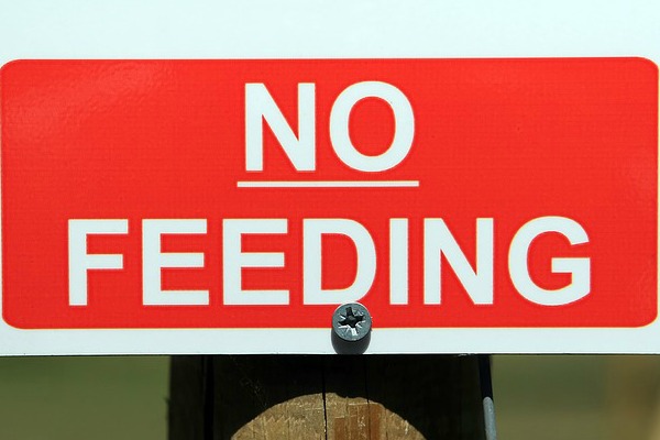 How to lose weight: Image of "No Feeding" sign.