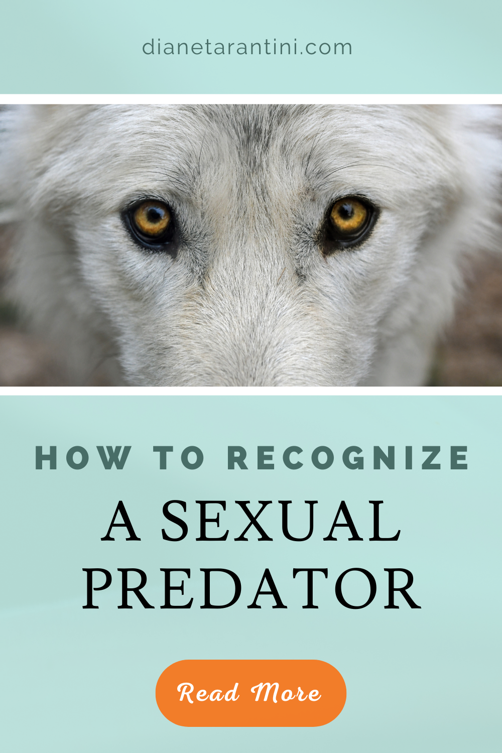 How to Recognize a Sexual Predator |